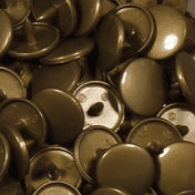 button colour gold